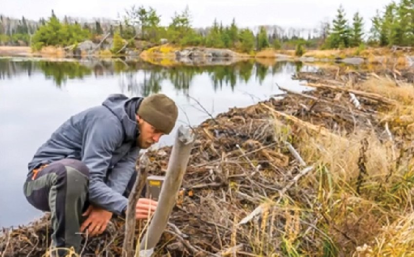 Field biologist Austin Homkes sets a trail camera along a beaver dam near Voyageurs National Park.