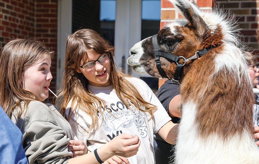 Aubriana Olson and Serah Ross are impressed with Sophie the Llama.