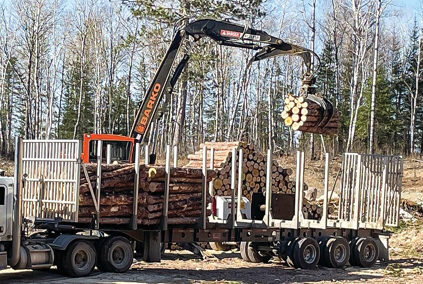 The DNR&rsquo;s access to federal habitat funds have been suspended for failure to document the wildlife value of some timber sales.