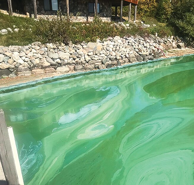 The view from a dock in Canfield Bay on Lake Vermilion. Swirls of dense blue-green algae have been apparent there in recent days.