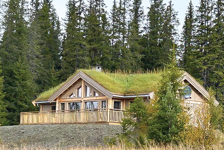 A typical cabin produced by Tinde Hytter, which   currently operates only in Scandinavia. The company has been in talks for months about entering the U.S. market with a plant in Tower. While turf roofs are common in Norway, the homes also come with shingled or metal roofs.