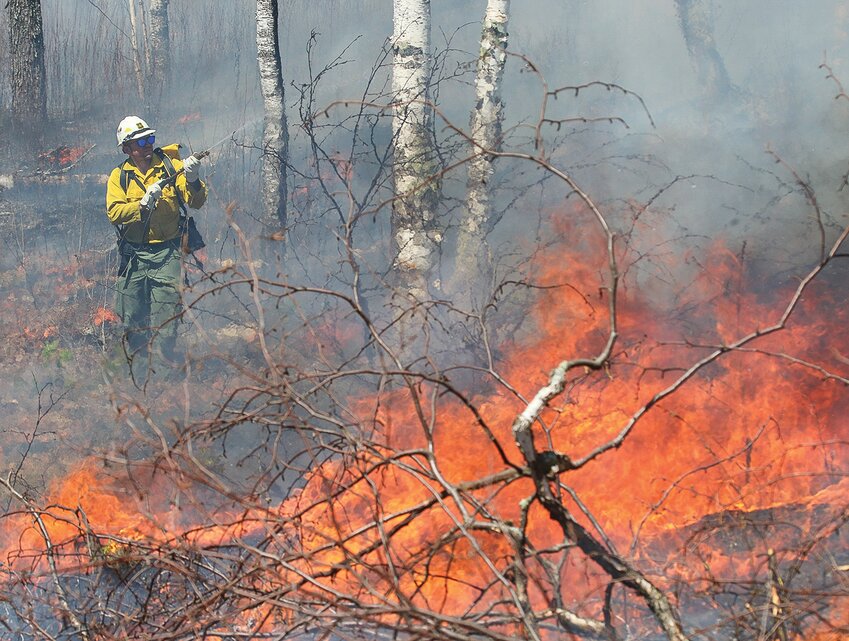 A firefighter uses a portable bladderpack to wet down birch bark as fire burns around him near the Pfeiffer Lake Campground.