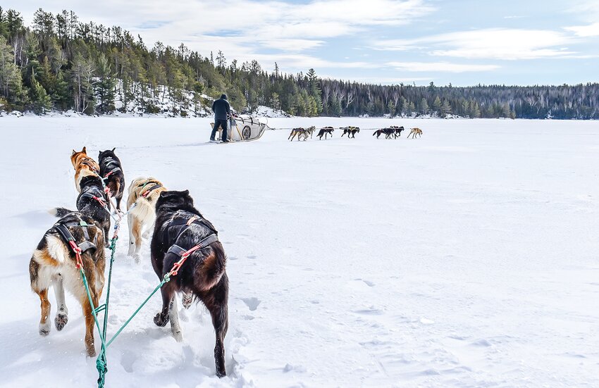 The view from the back of the second dogsled, with Paige and the freight sled up ahead.