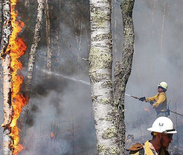 A burn crew works a prescribed fire last spring near Pfeiffer Lake.