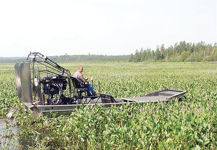 An airboat with cutting blades works on a dense patch of pickerel weed.