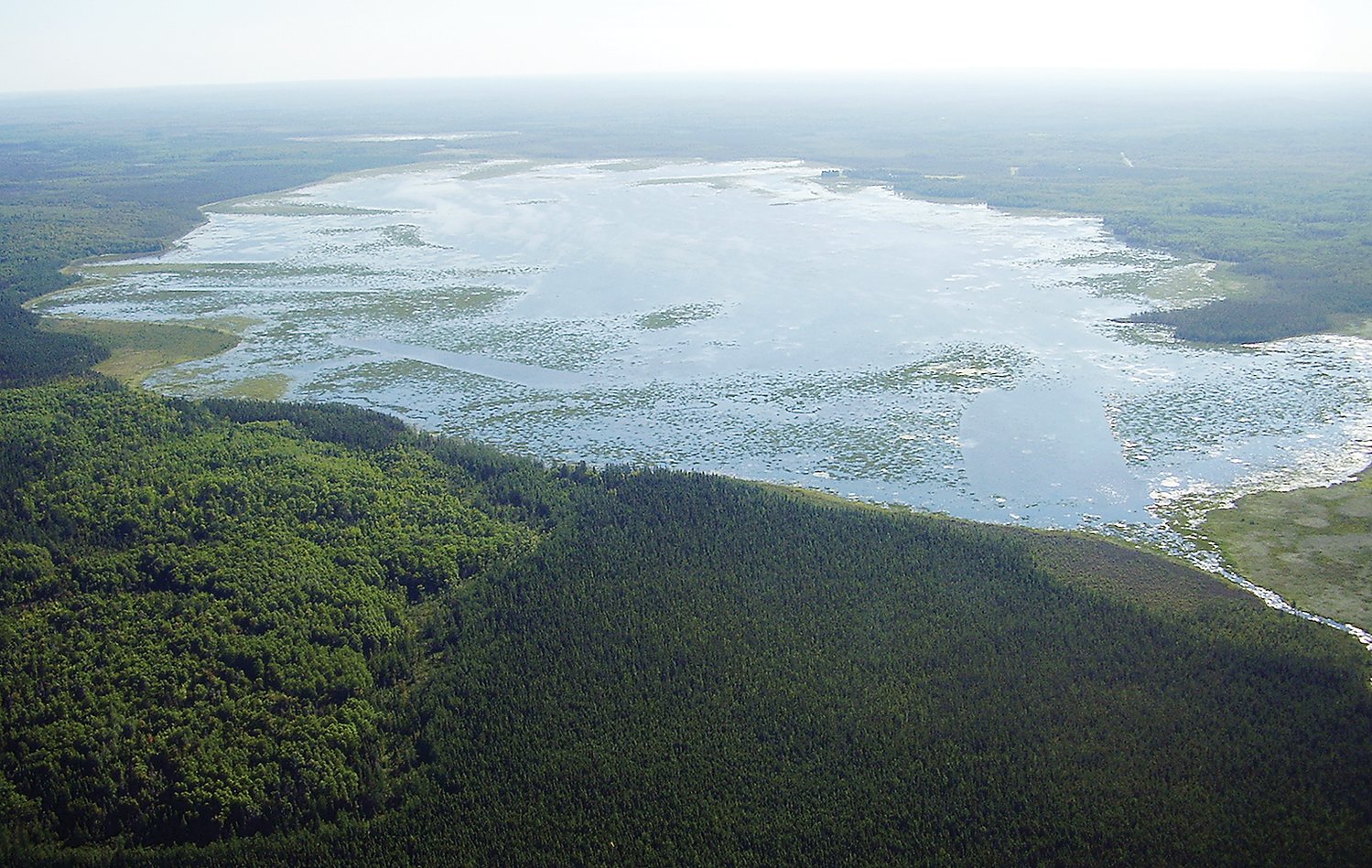 An aerial view of Big Rice Lake, once a premier wild rice lake in the region.