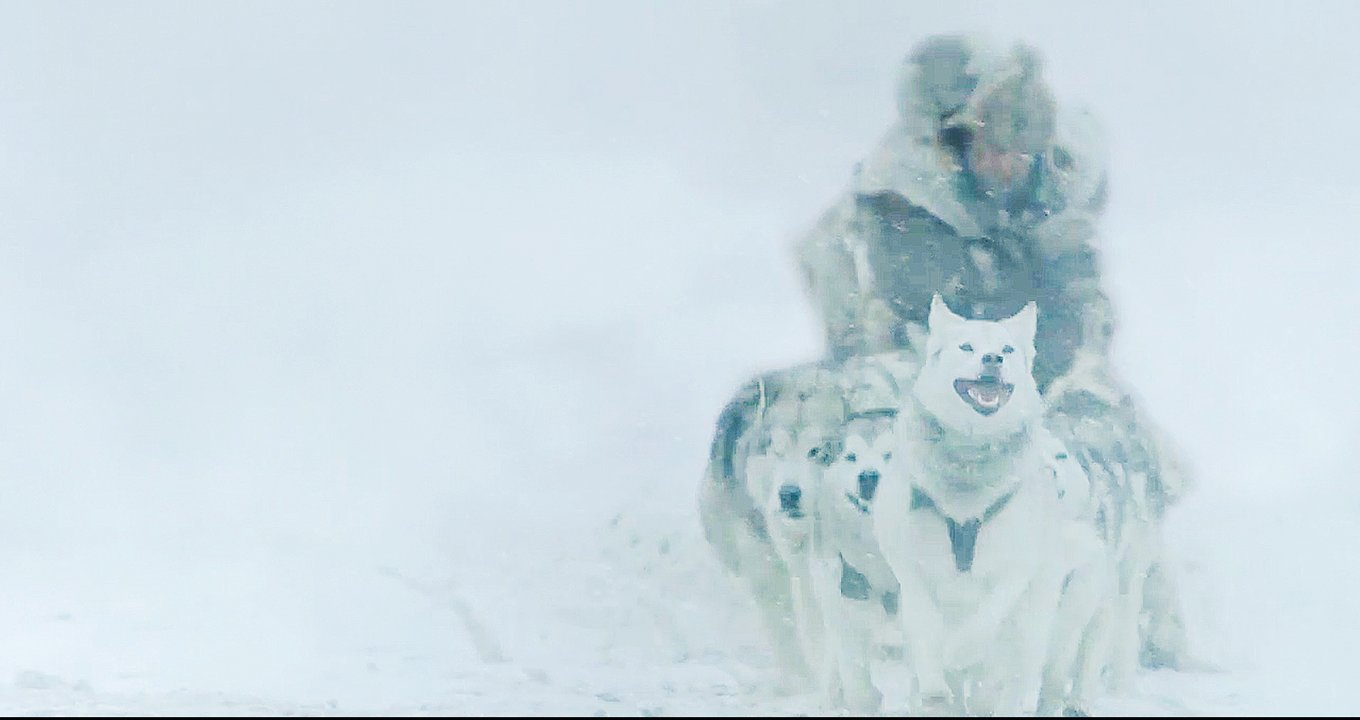 A still from the upcoming movie "The Great Alaskan Race," which hits theaters on Oct. 25.