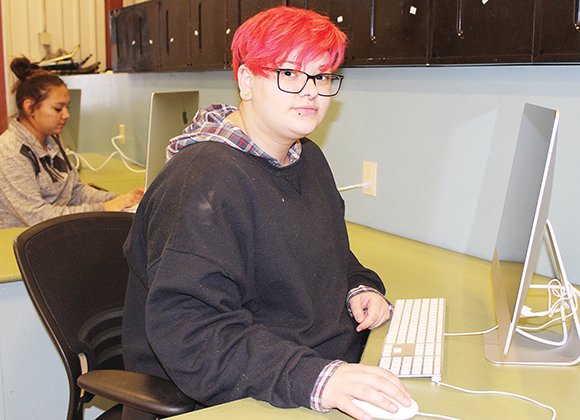 Vermilion Country School 
student Todd Zierowski works in the computer lab at the Tower-based charter school.
