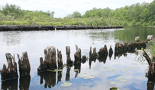 The tattered remains of century-old river 
pilings have become a sore point between 
developers and the city of Tower.