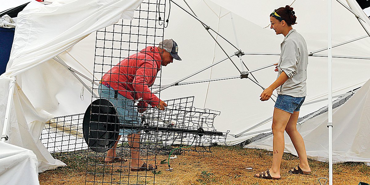 Adam and Tonja Zins, of Appleton, Wis., above, salvage their vendor tent Saturday morning at the Blueberry/Art Festival.