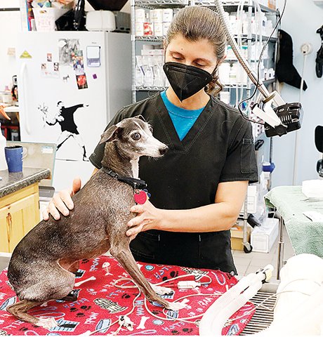 Dr. Jen Freking, DVM works at the Ely Vet Clinic, one of the few pet care facilties in the North Country to offer after-hour and weekend care.