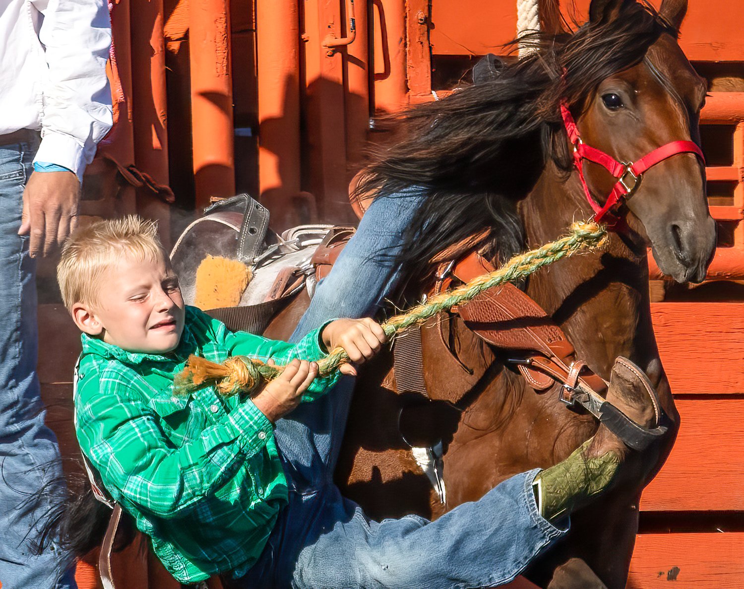 This youngster's mini-bronc ride was over in a flash, but there's little doubt he'll be back to try again for years to come.