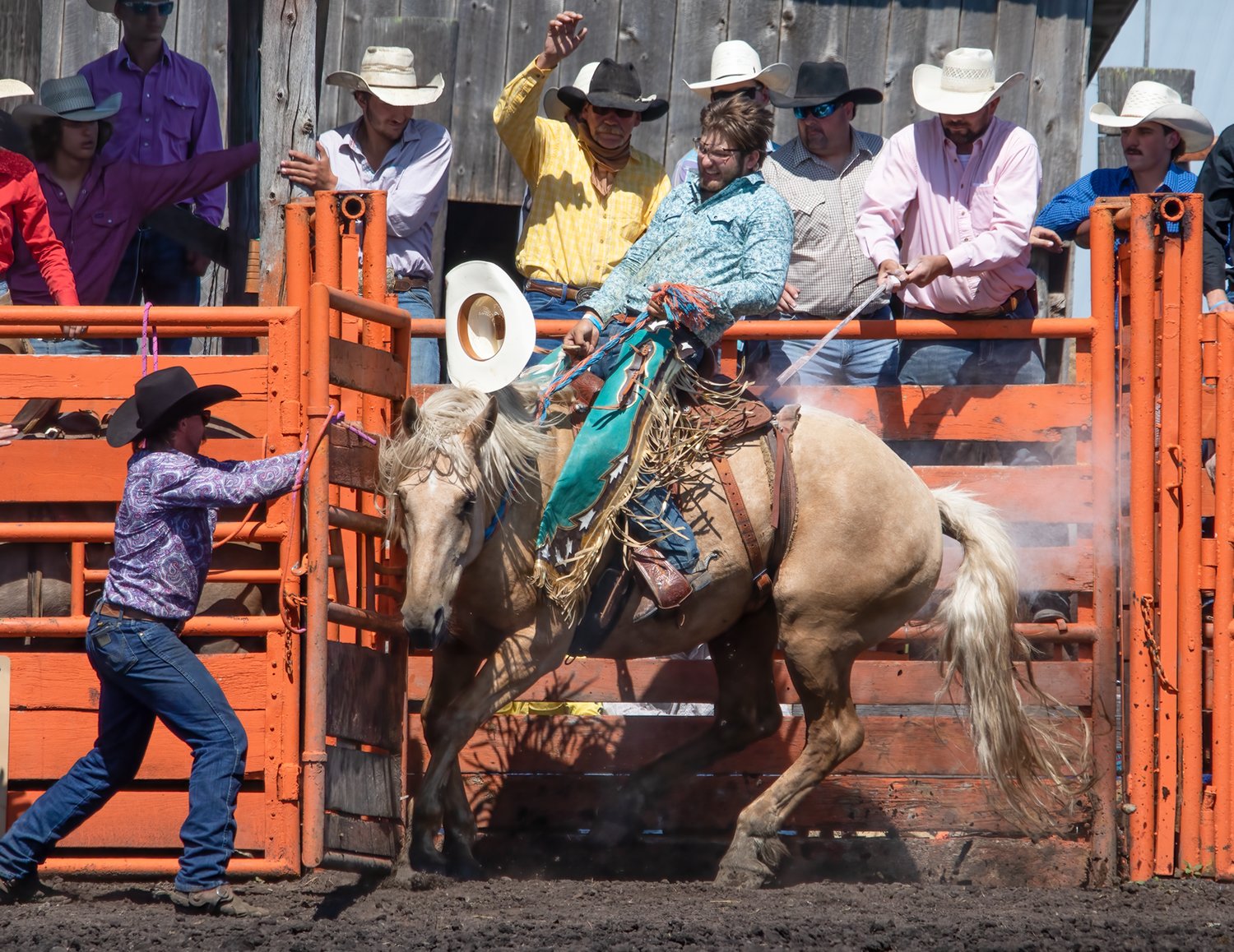 As the gate opens, this cowboy braces for a rough and tumble ride.