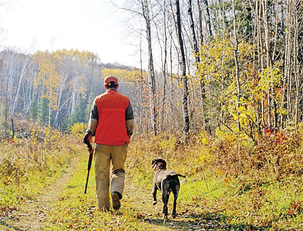 A perfect scene... a hunter, his most loyal partner, and excellent October grouse habitat.