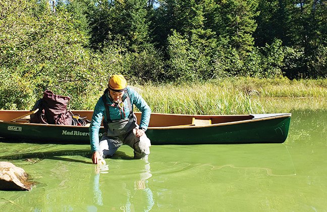Lienne Sethna collects an algae sample on a lake in the Boundary Waters last month.