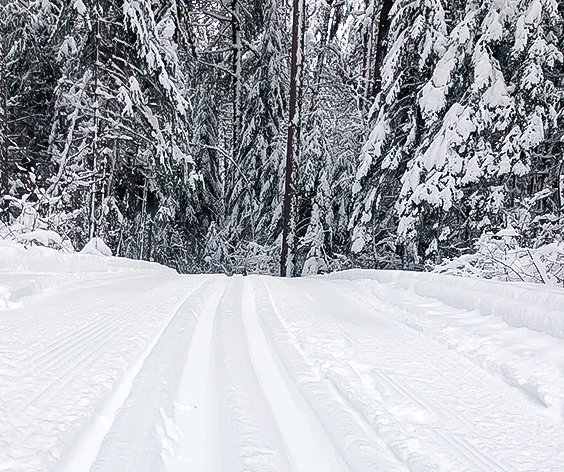 Groomed ski trails are generally in good shape now after clean up in wake of storms.