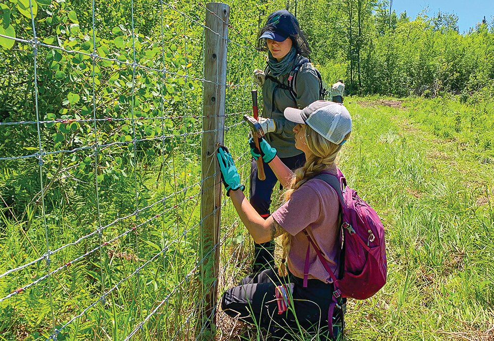 Staff members with the Voyageurs Wolf Project pitched in on the construction of the fence surrounding the Johnson ranch.
