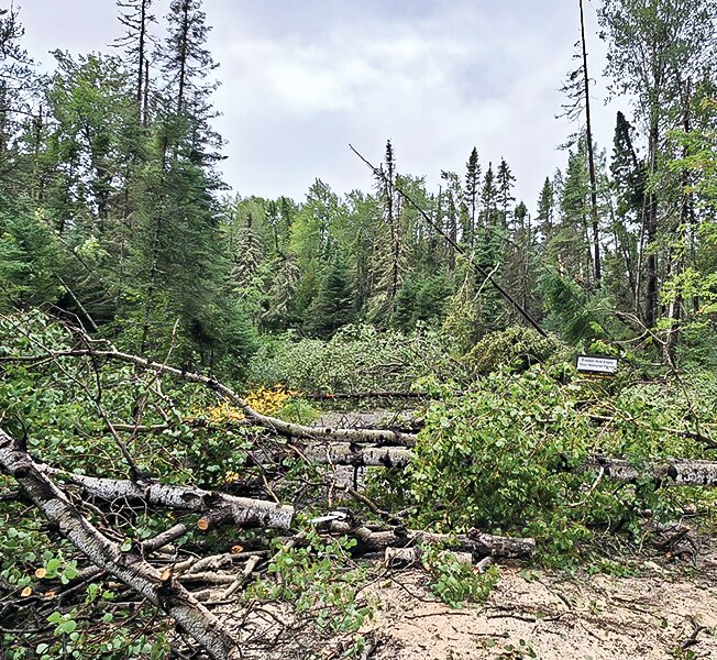 Recent storm damage on parts of the Laurentian and Kawishiwi ranger districts has prompted the Forest 
Service to offer free 
salvage permits.