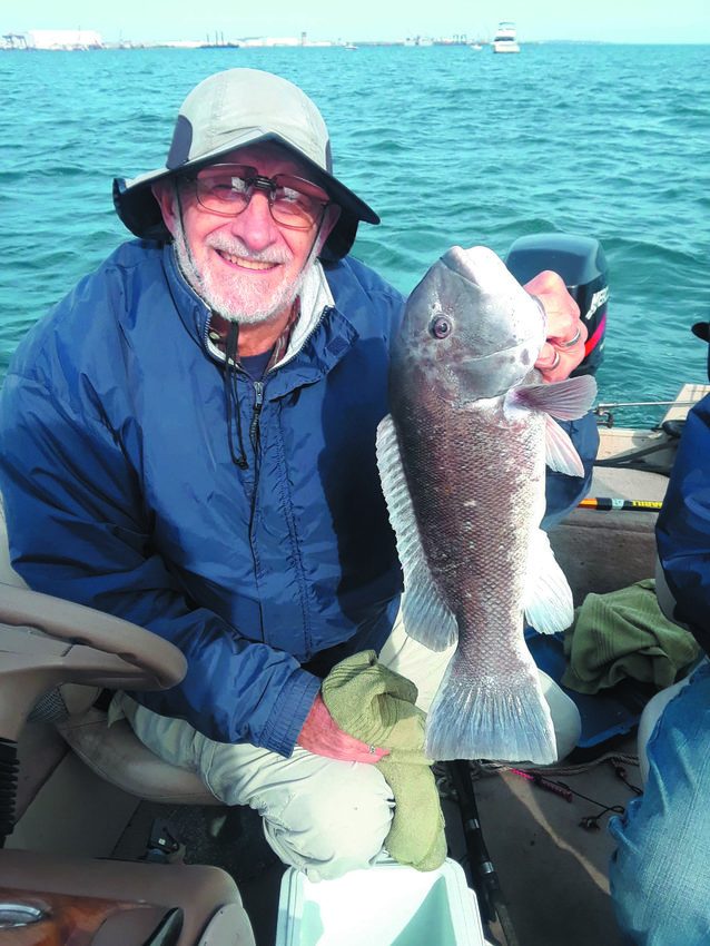 TAUTOG BITE GOOD: Walt Galloway with a 5.1 pound tautog he caught in the General Rock, North Kingstown area. The fish was his personal best.&nbsp;