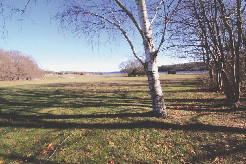 WAVES OF FIELDS: The Meadows, which will be preserved as farmland with the sale of development rights, looks out on the Greene River and Narragansett Bay.