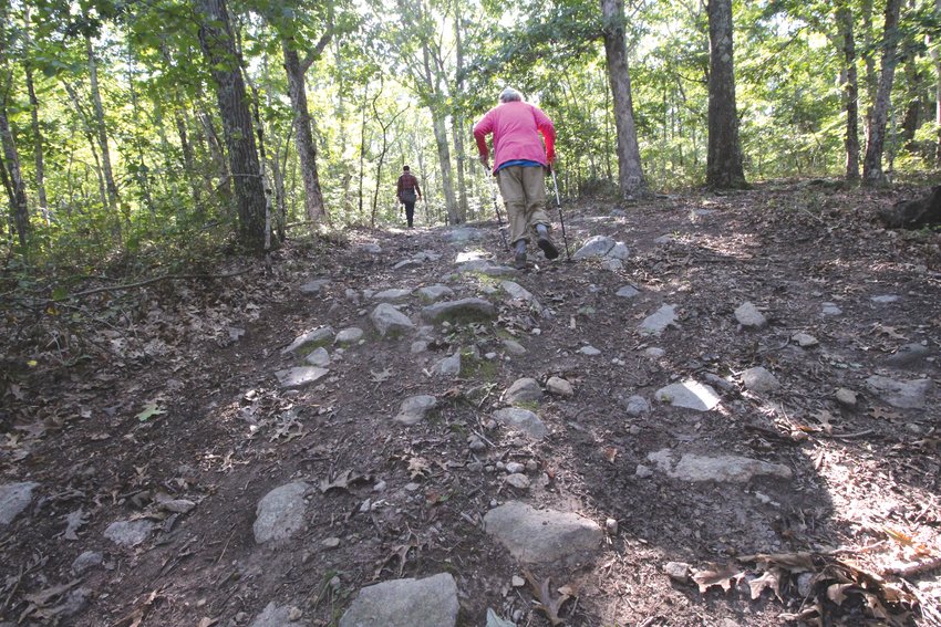 A BIT OF A CLIMB: The Dawley Farm trails are well defined. The canopy has stunted undergrowth allowing for vistas of the forest that is crossed by stonewalls and occasional rock outcroppings.