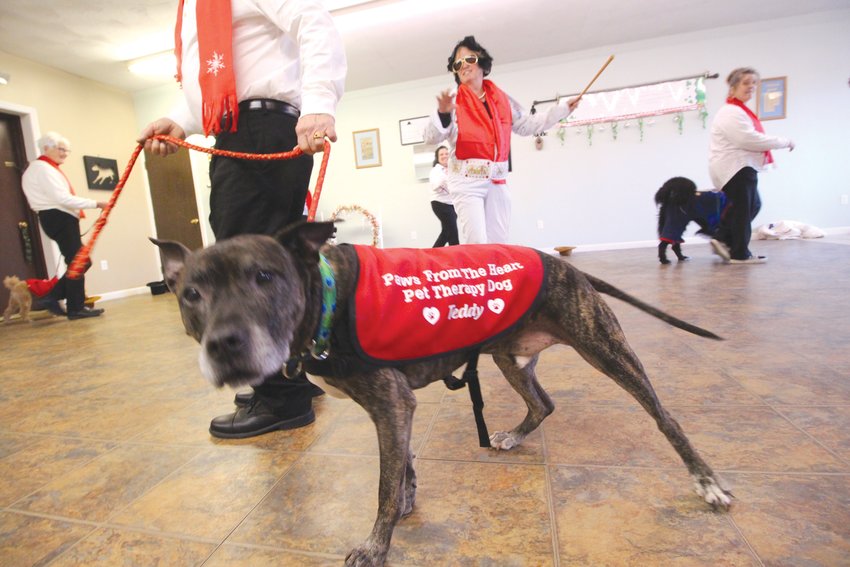 IS THAT ELVIS? Susan Parker transformed from ringmaster to Elvis for the canine version of &ldquo;You Ain&rsquo;t Nothing But a Hound Dog.&rdquo;