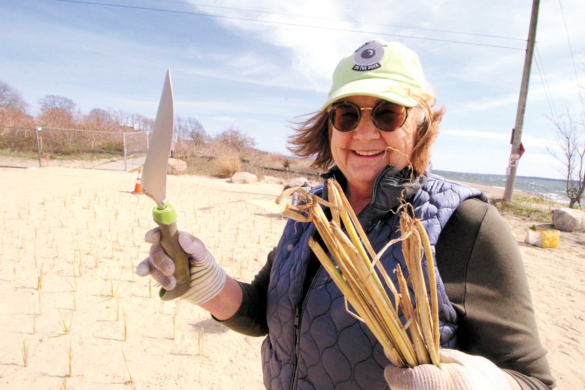 CLOSE TO HOME: Judith Sutphen who bought her Stand Avenue home a couple of years ago jumped right in to help plant beach grass Tuesday. &ldquo;I&rsquo;m planting my front yard,&rdquo; she said.