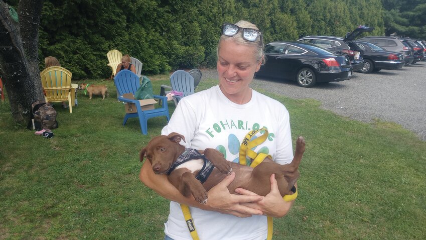 IN LOVING ARMS: FOHARI Volunteer Regina Kwolek holds Peony, a Chihuahua Fox-terrier mix, in her arms to show her off at the FOHARI adoption event outside of The Parlor Creamery last Sunday. (Herald Photo by Ed Kdonian)