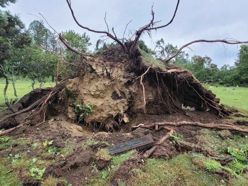 DIRECT HIT: Highland Memorial Park Cemetery in Johnston seems to have taken a direct hit by this morning's tornado. A path of destruction: fallen trees, scattered planters, graves unearthed and huge trees toppled.