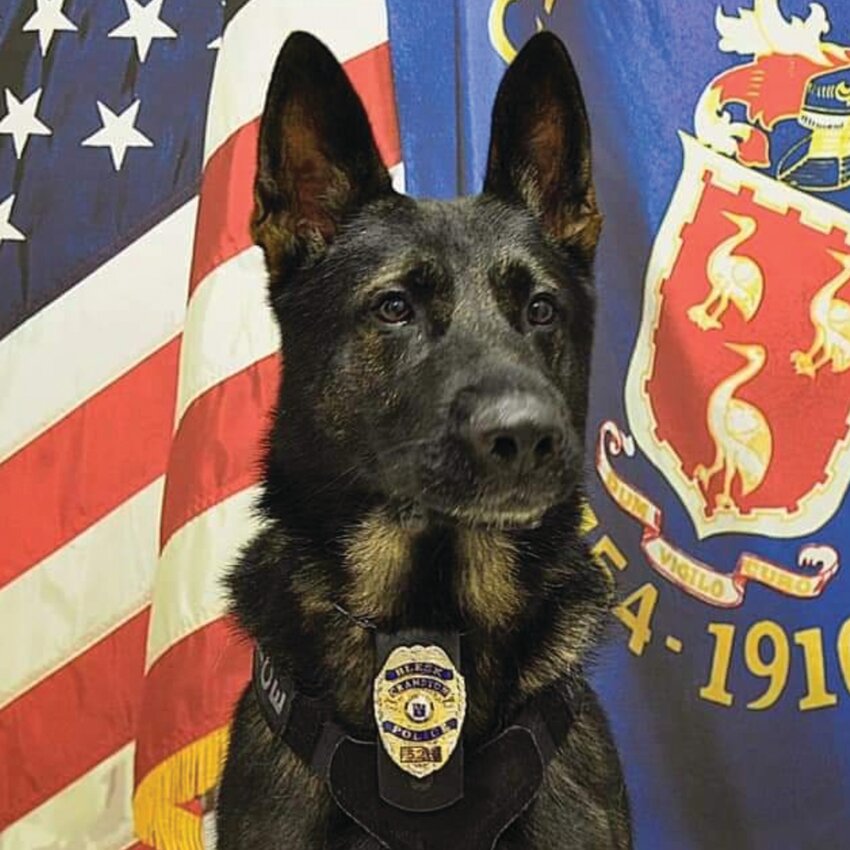 LOST OFFICER: Cranston Police announced the terminal illness and death of K-9 Blesk, a seven-year officer with the Cranston Police Department. Cranston Police invited the public to a Last Call final salute and motorcade on Tuesday, Aug. 6. (Photos courtesy Cranston Police)