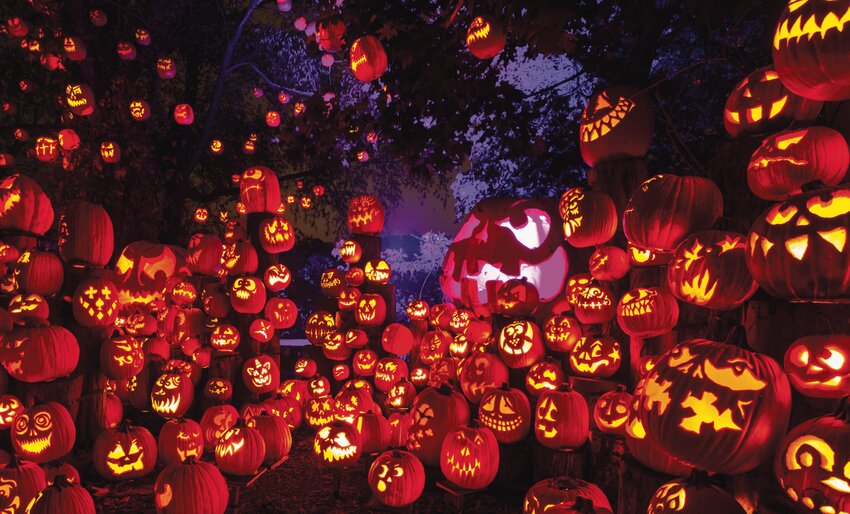 These images are representative of previous years and not specific examples from the 2024 Jack-O-Lantern Spectacular.