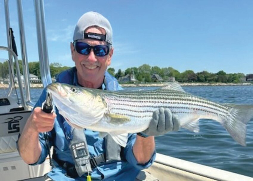 STRIPED BASS: Capt. Dave Monti with striped bass. Striped bass, summer flounder, bluefish and cod fishing down again this year.  Are we  suffering the consequences of carbon and other greenhouse gases in air and water? (Submitted photo)