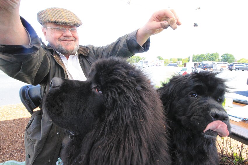 David Rardin got his two Newfies up from their repose with the prospect of milk bones. Beacon Media photos by John Howell