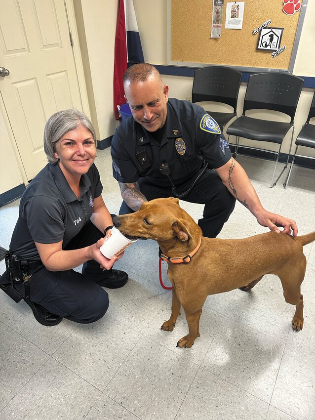 Bam-Bam enjoys a pup treat from his friends at Dunkin. Submitted photo