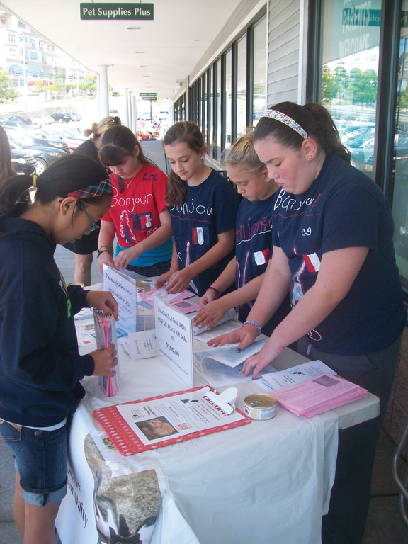 Troop 1062 service project feeds felines Cranston Herald