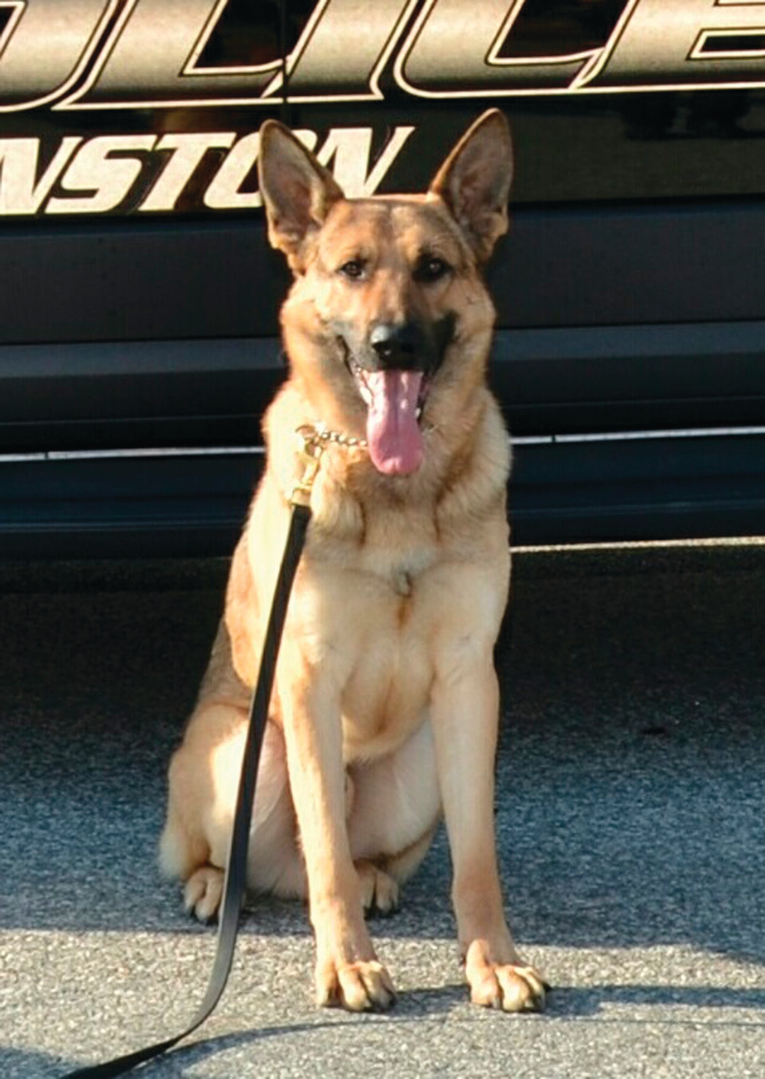 K9s Lex Blesk To Receive Body Armor Warwick Beacon