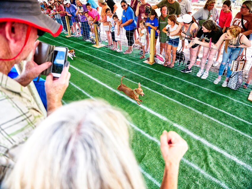 Whether casual onlookers or intense competitors, everyone has a rooting interest in the annual races at Weenie Dog Downs.