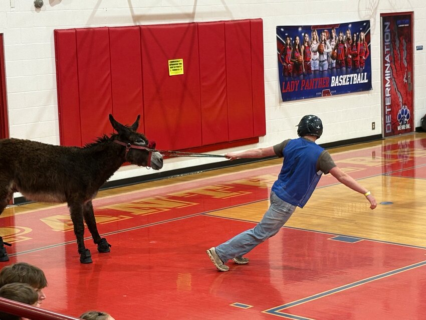 Alba-Golden student Nikolai Kent displays a common occurrence at donkey basketball games, sheer stubbornness on the part of the four-legged participants.