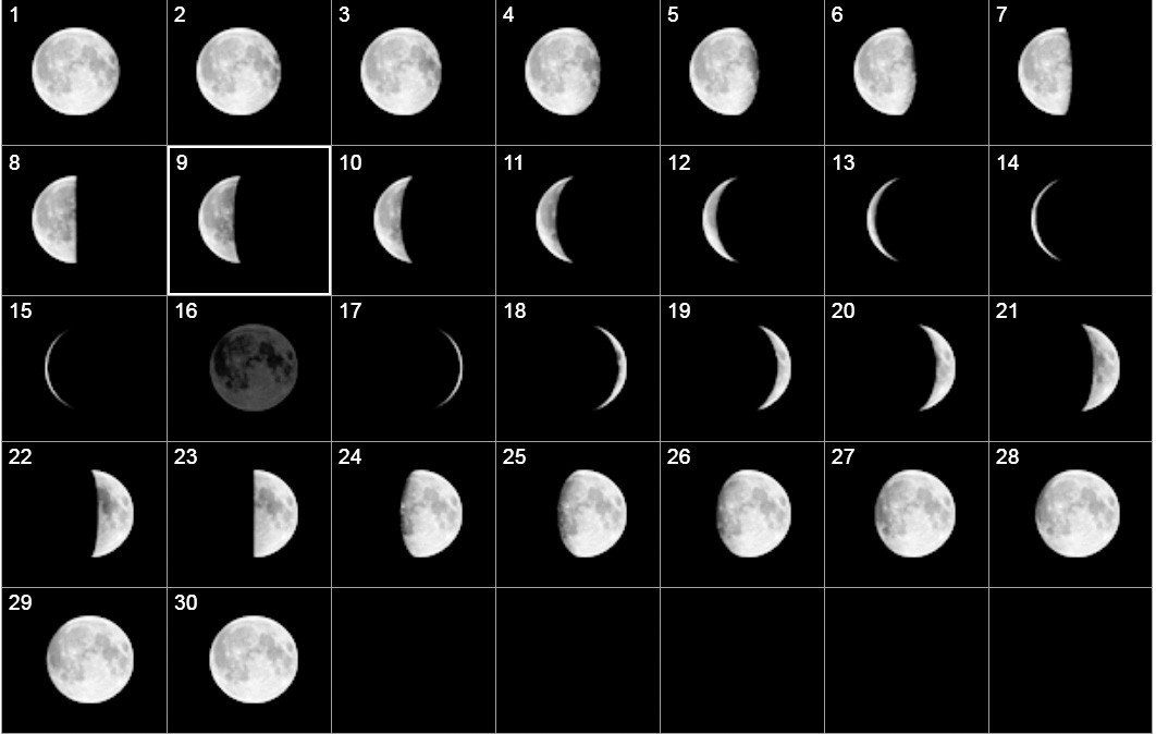 APRIL MOON PHASES Wood County Monitor